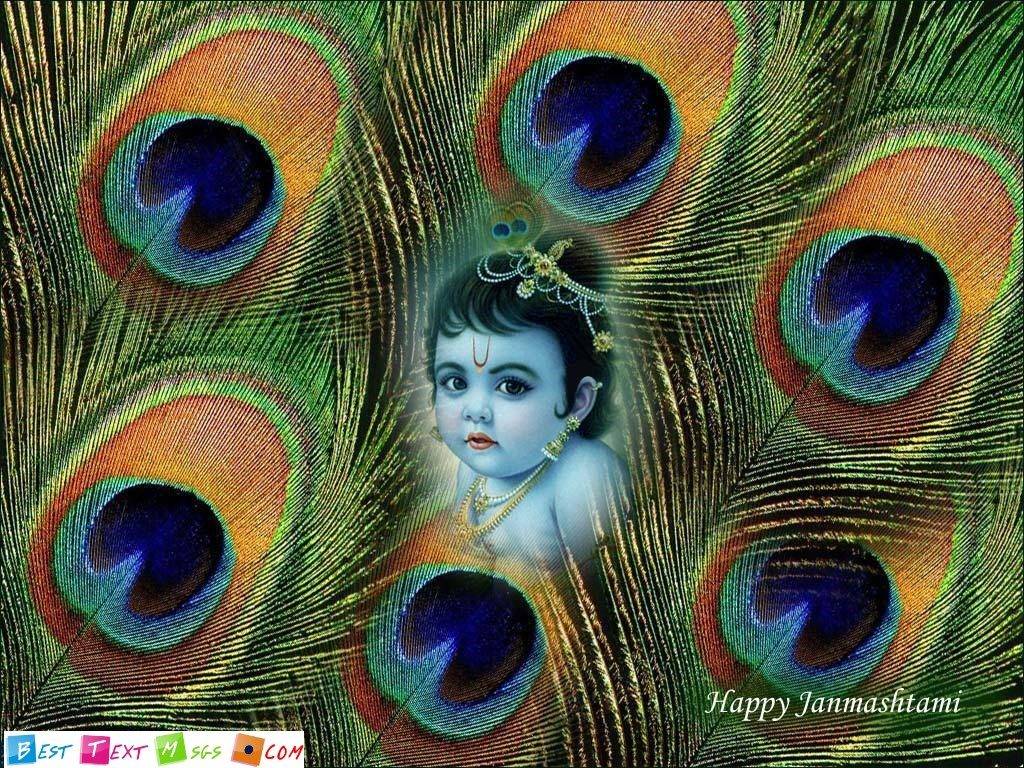 Krishna Janmashtami Wallpaper Download - Janmashtami Special Wallpaper Download - HD Wallpaper 