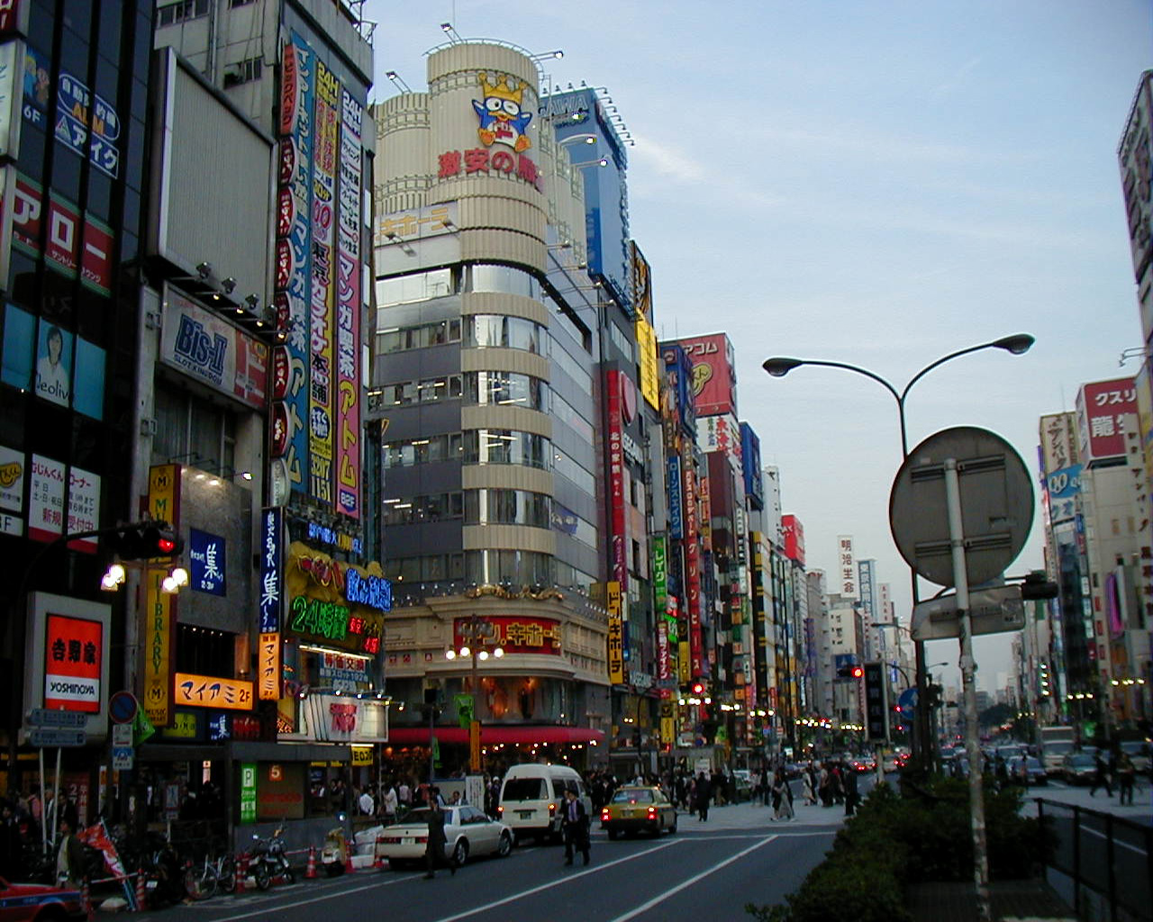 Escorts In Tokyo Japan