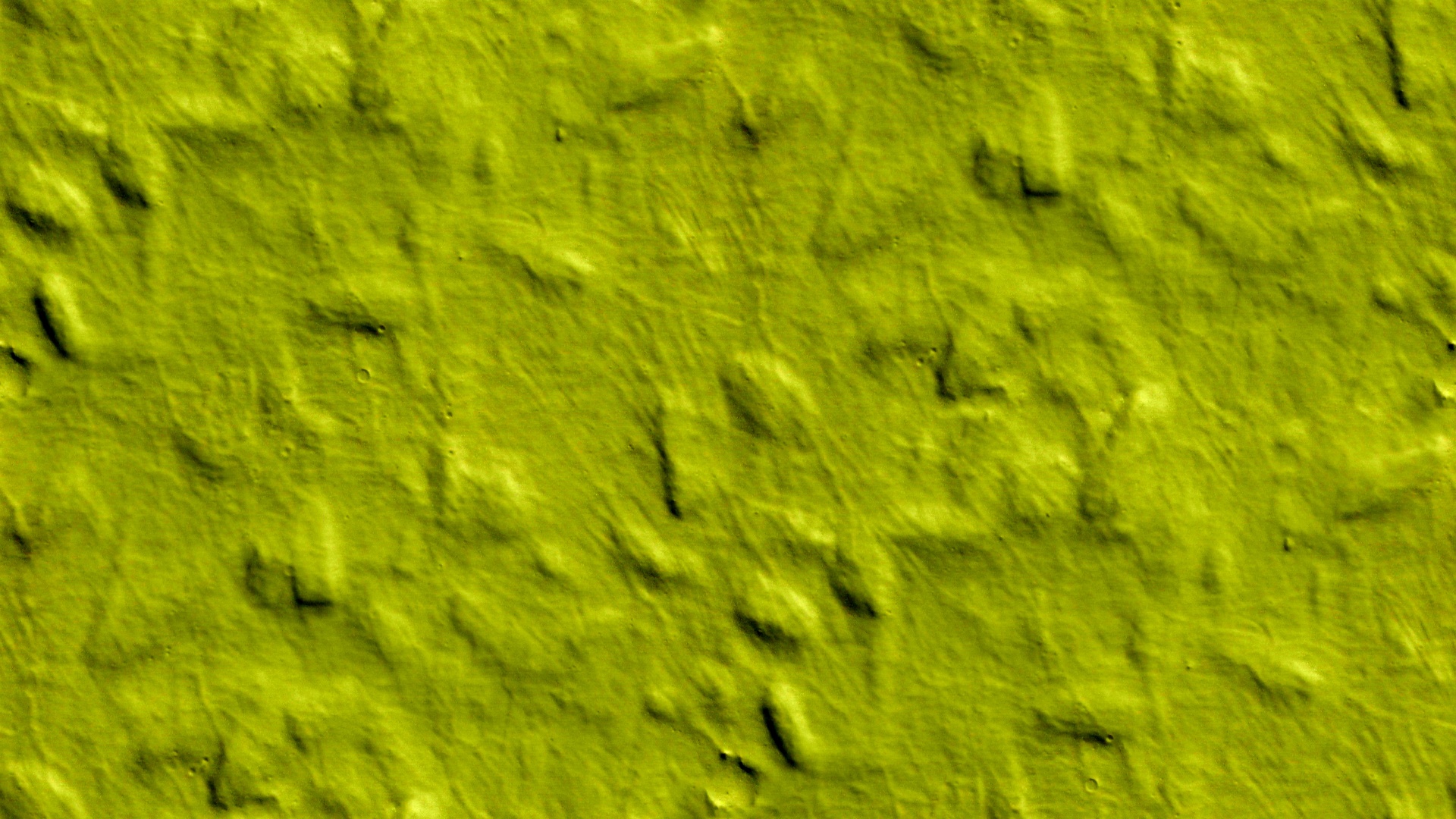 Olive Green Wallpaper Free Photo - Woodchip Wallpaper Green - HD Wallpaper 