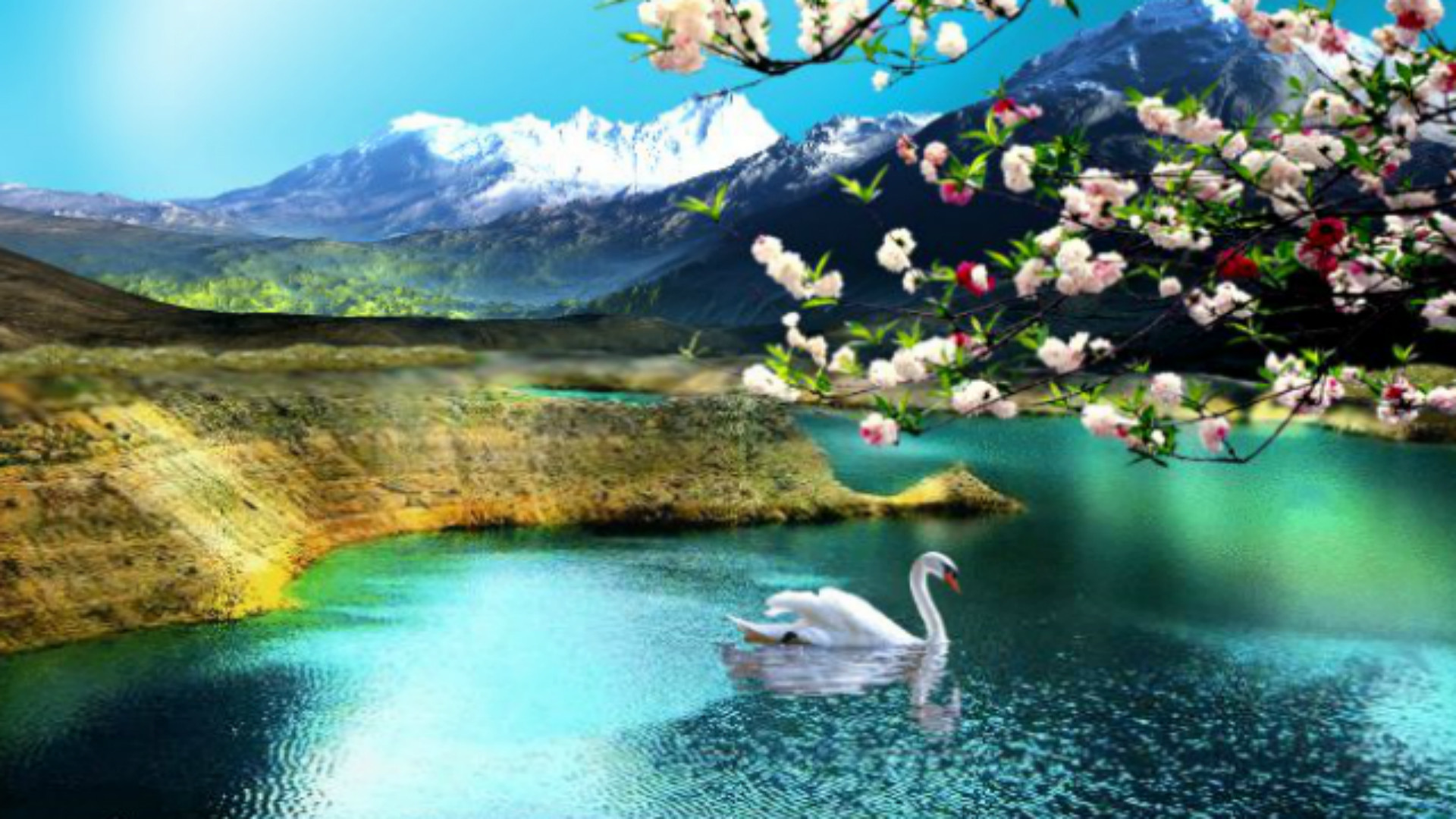 Hd Nature Wallpapers, Flowers, Cute Desktop Images, - Nature Wallpaper