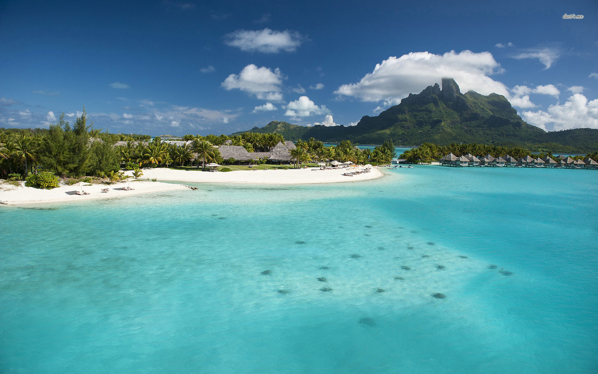 St Regis Bora Bora - 1920x1200 Wallpaper - teahub.io