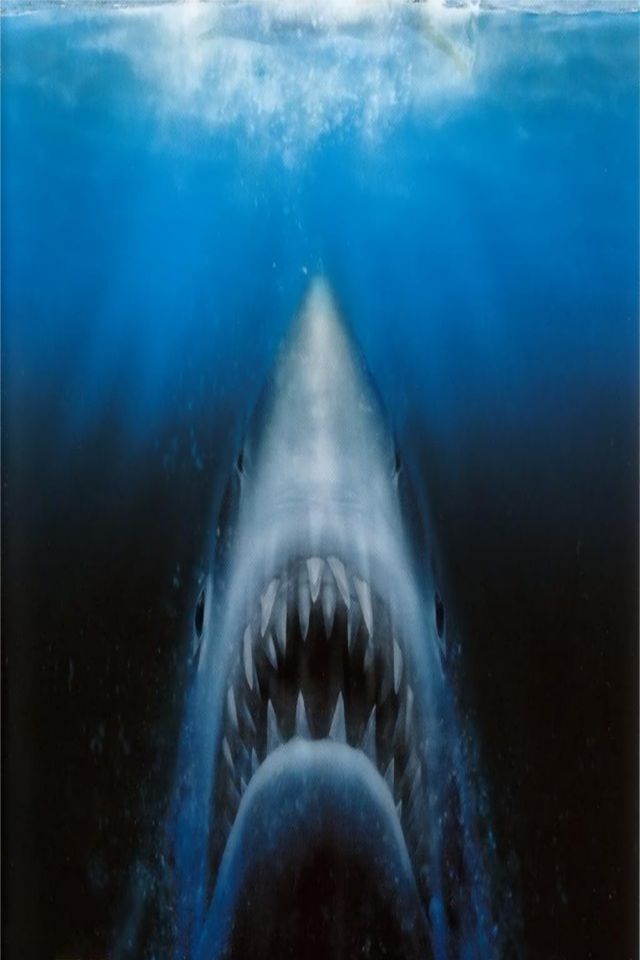 Jaws - 640x960 Wallpaper - teahub.io