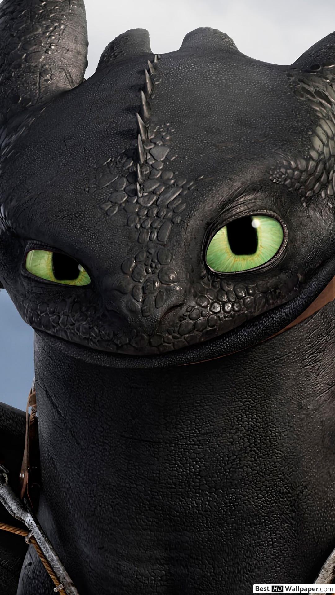 Train Your Dragon Black Dragon 1080x1920 Wallpaper Teahub Io