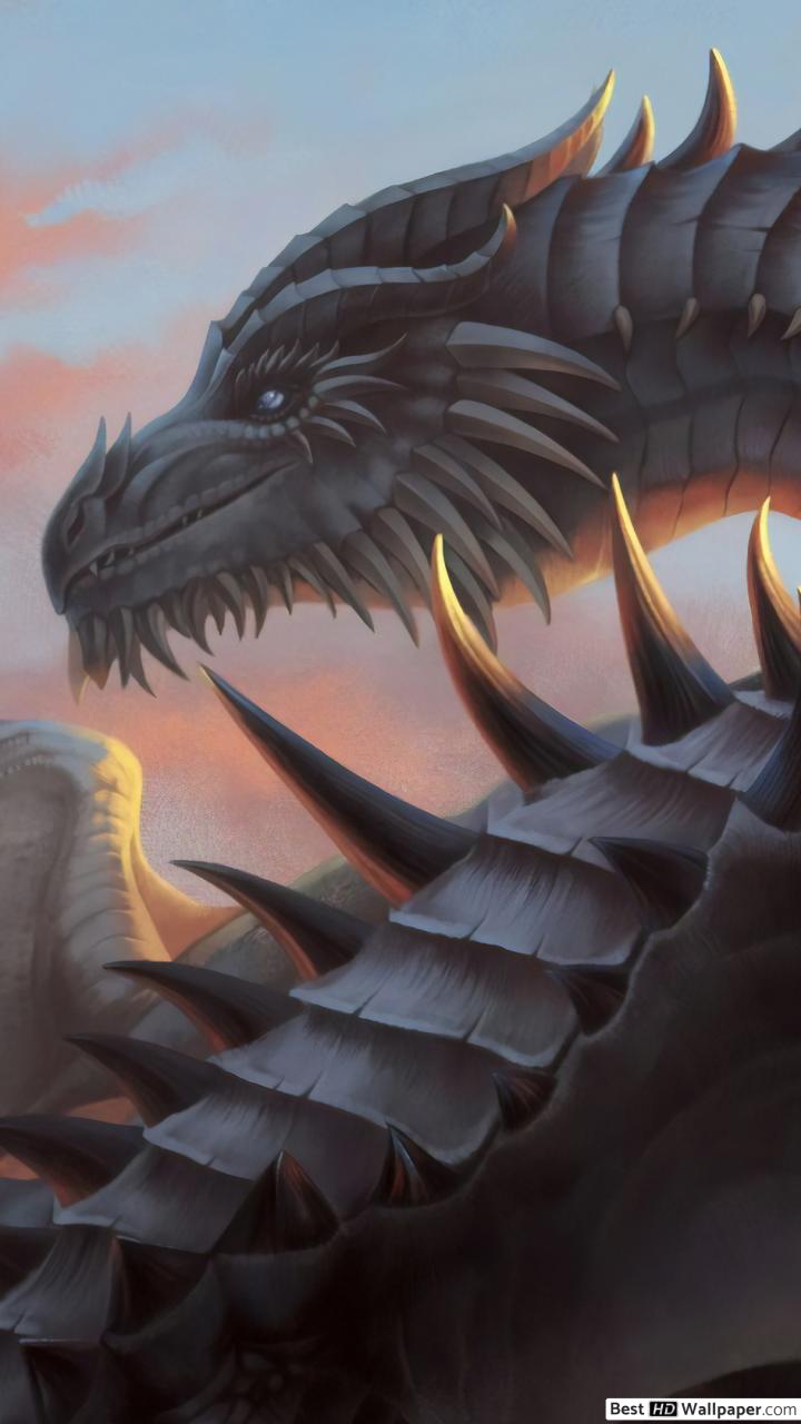 Paarthurnax Art - 720x1280 Wallpaper - teahub.io