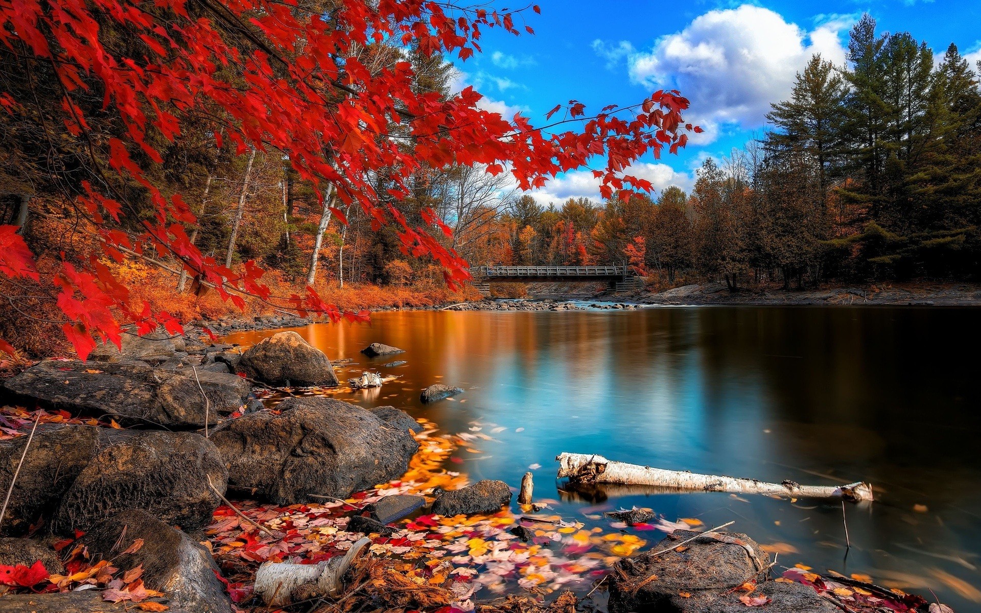 Beautiful Nature Background Wallpapers - Fall Computer Backgrounds -  1920x1200 Wallpaper 