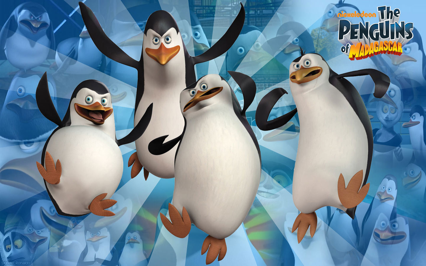 Penguins Of Madagascar Background - 1440x900 Wallpaper - Teahub.io