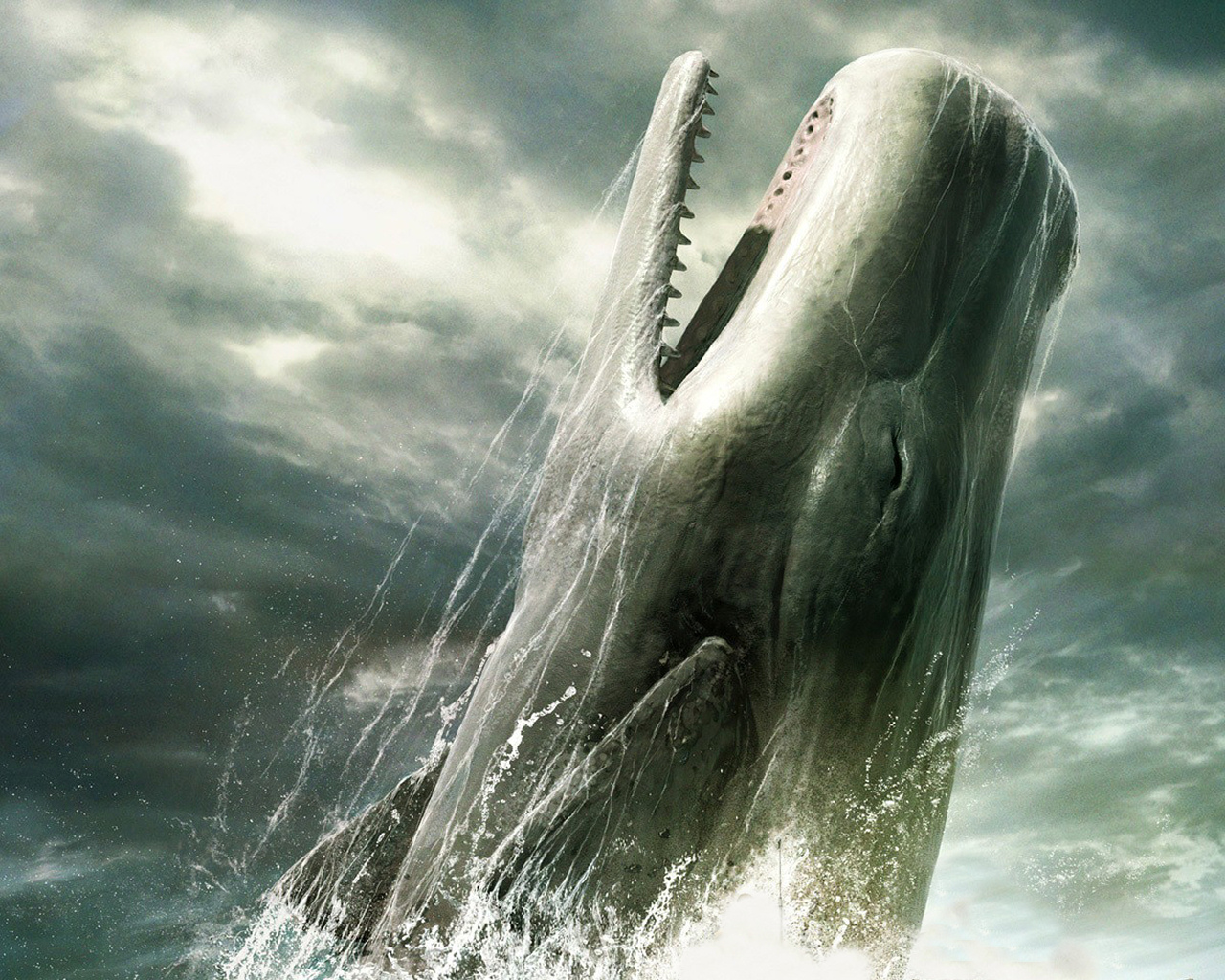 Moby Dick Revenge - HD Wallpaper 