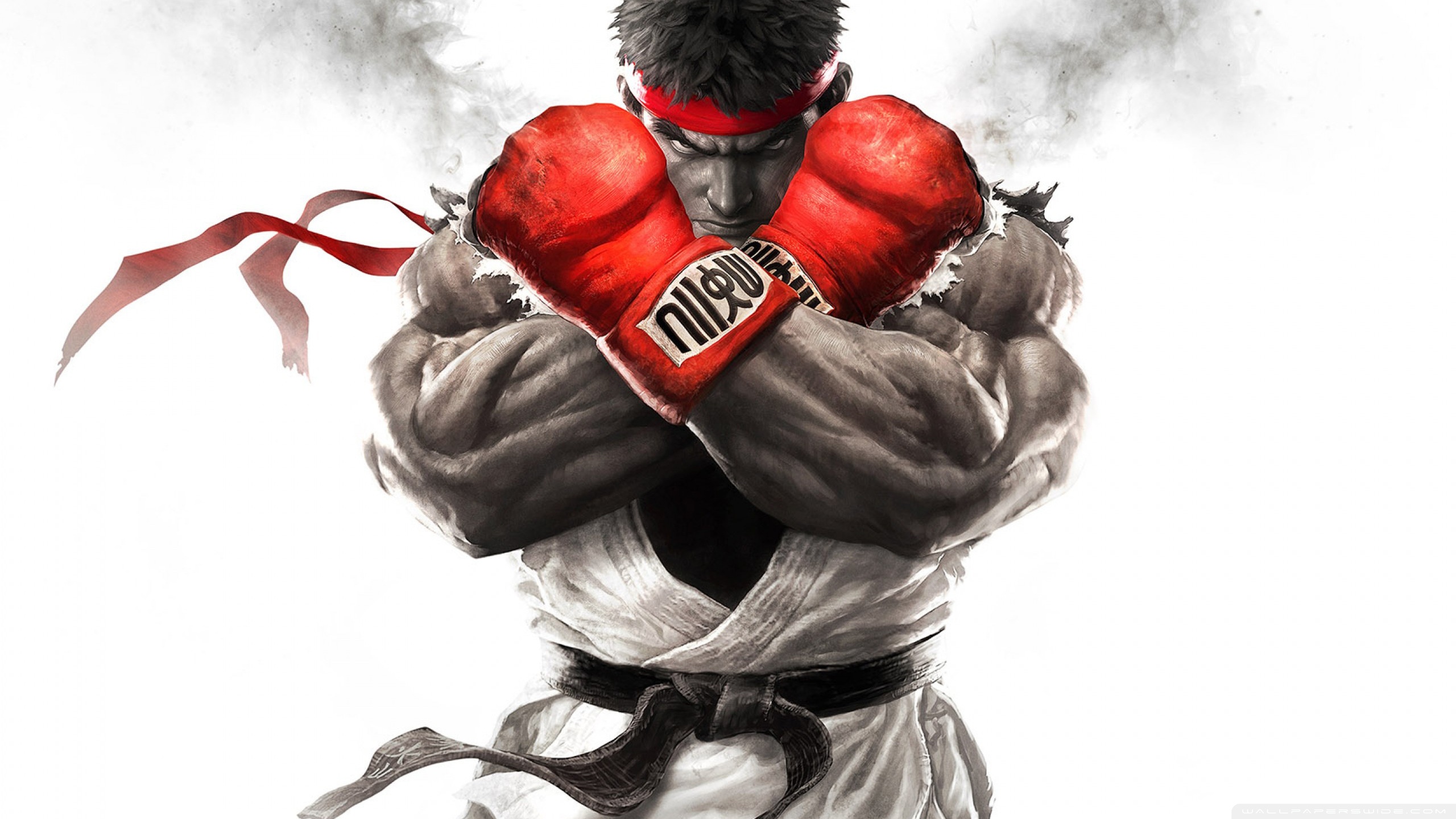 Street Fighter - HD Wallpaper 