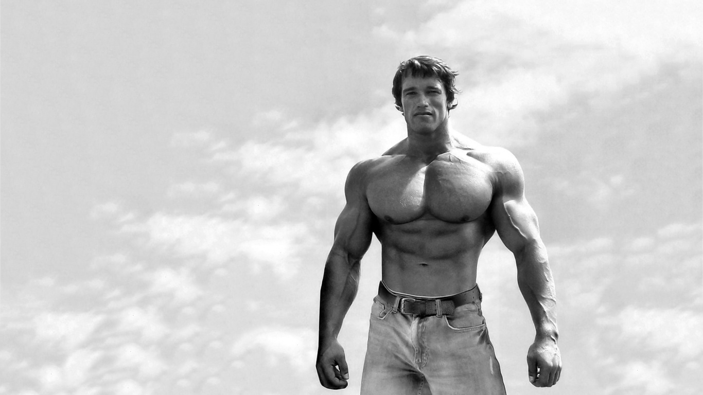 Arnold Schwarzenegger, Evj - HD Wallpaper 
