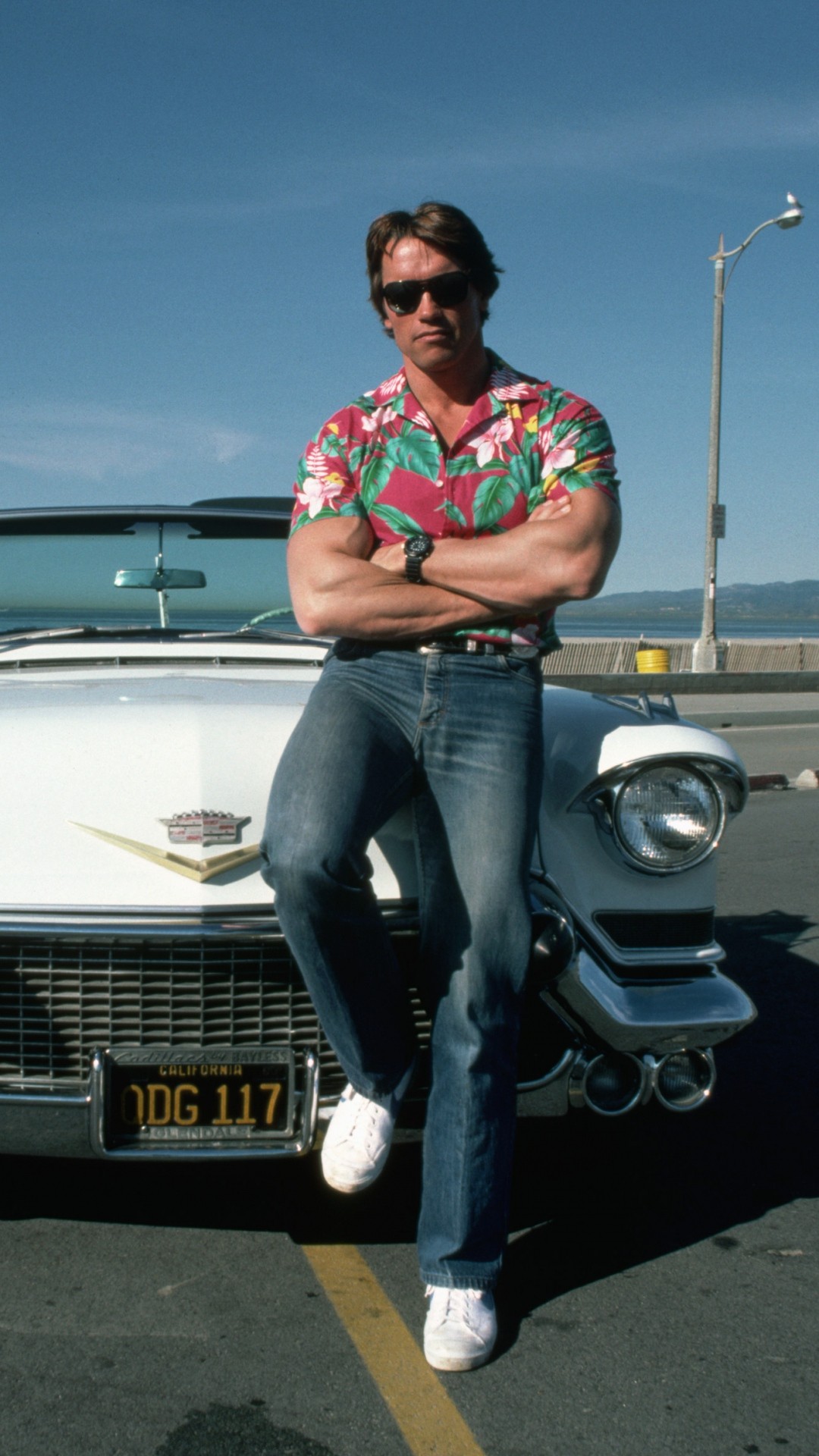 Arnold Schwarzenegger Cadillac - HD Wallpaper 