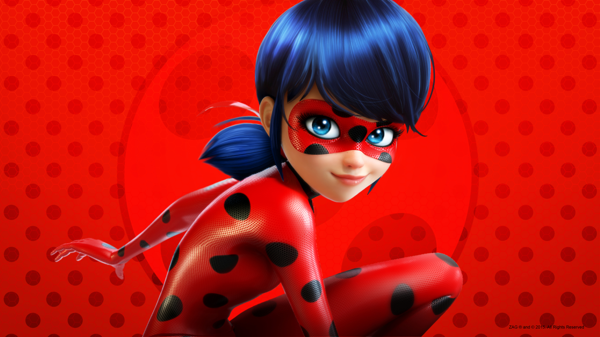 Lady Bug Hd - 1920x1080 Wallpaper - teahub.io