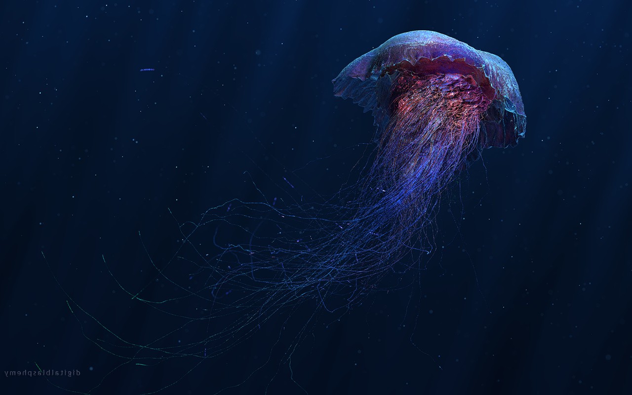 Digital Jellyfish - HD Wallpaper 