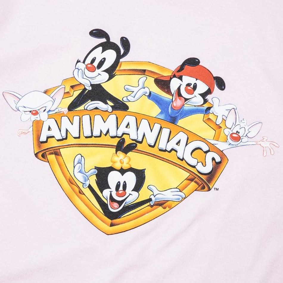 Animaniacs - HD Wallpaper 