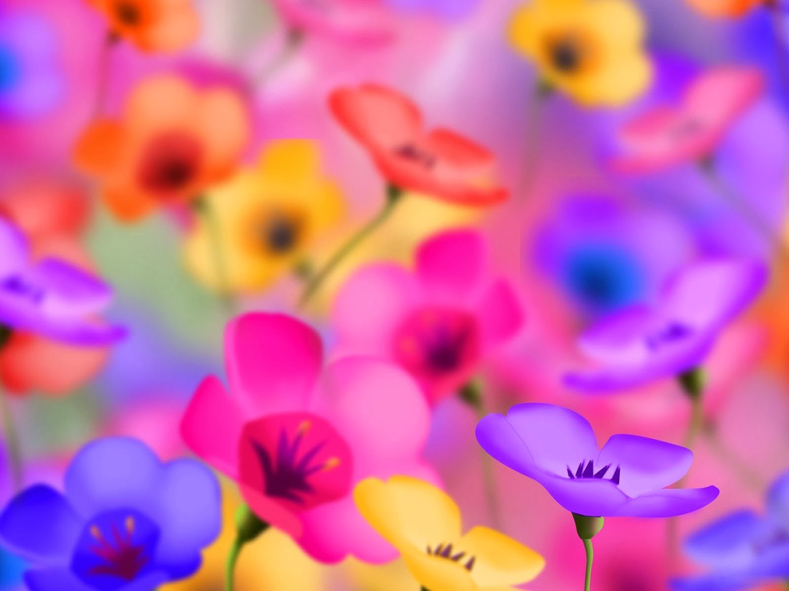 Flower Wallpaper Photo Download 1600x1200 Wallpaper Teahub Io