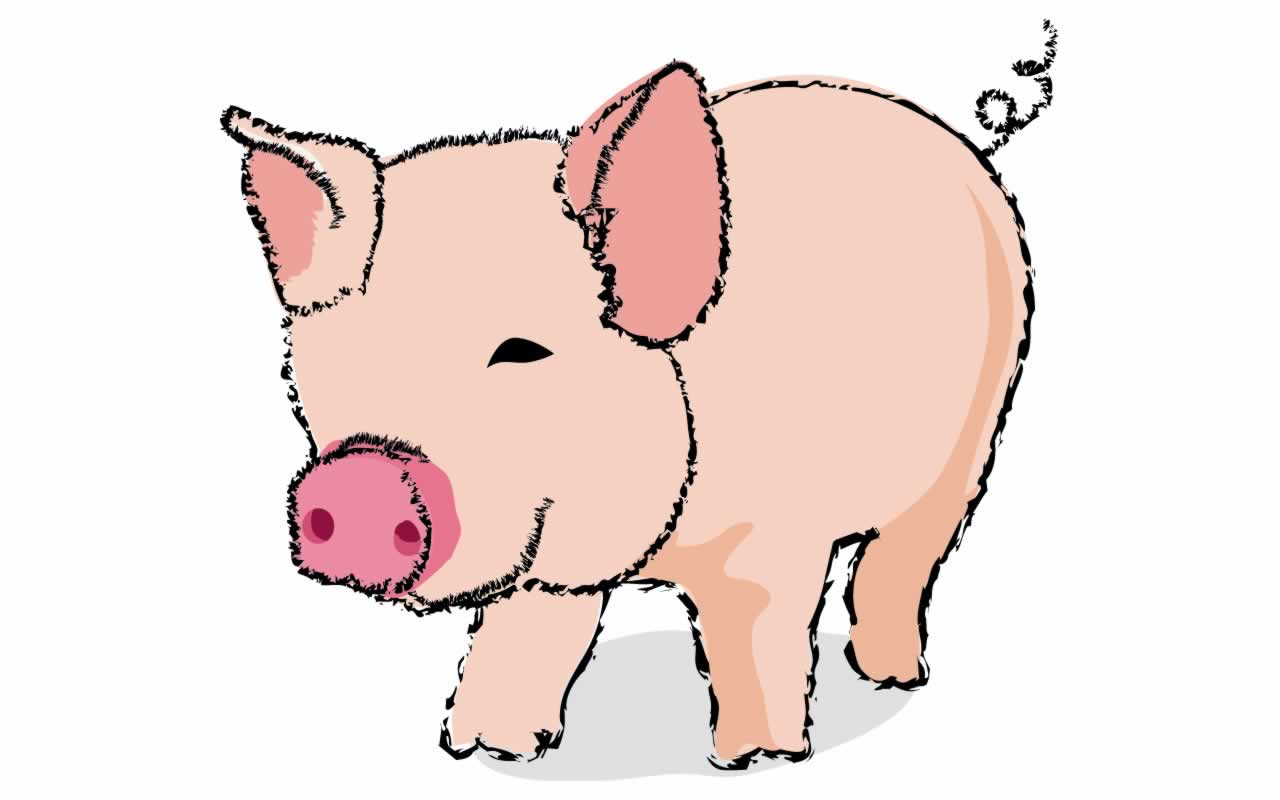 cartoon pig wallpaper