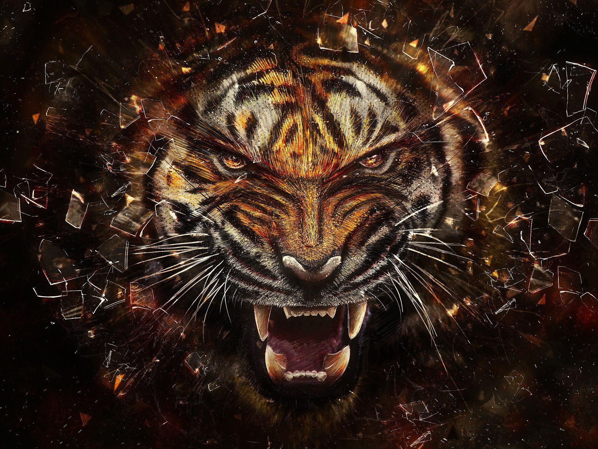 Cool Wallpapers Of Tigers - HD Wallpaper 