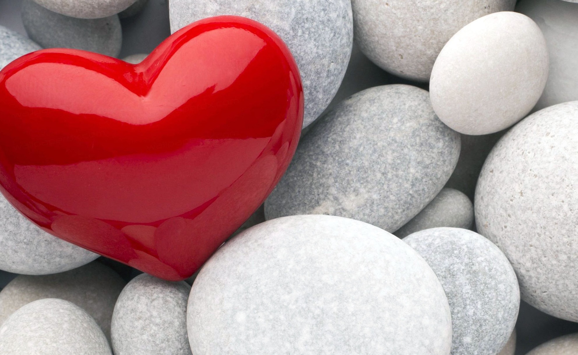Red Heart And White Stones Love Full Hd Wallpaper Love - Red Heart Hd Wallpaper Download - HD Wallpaper 