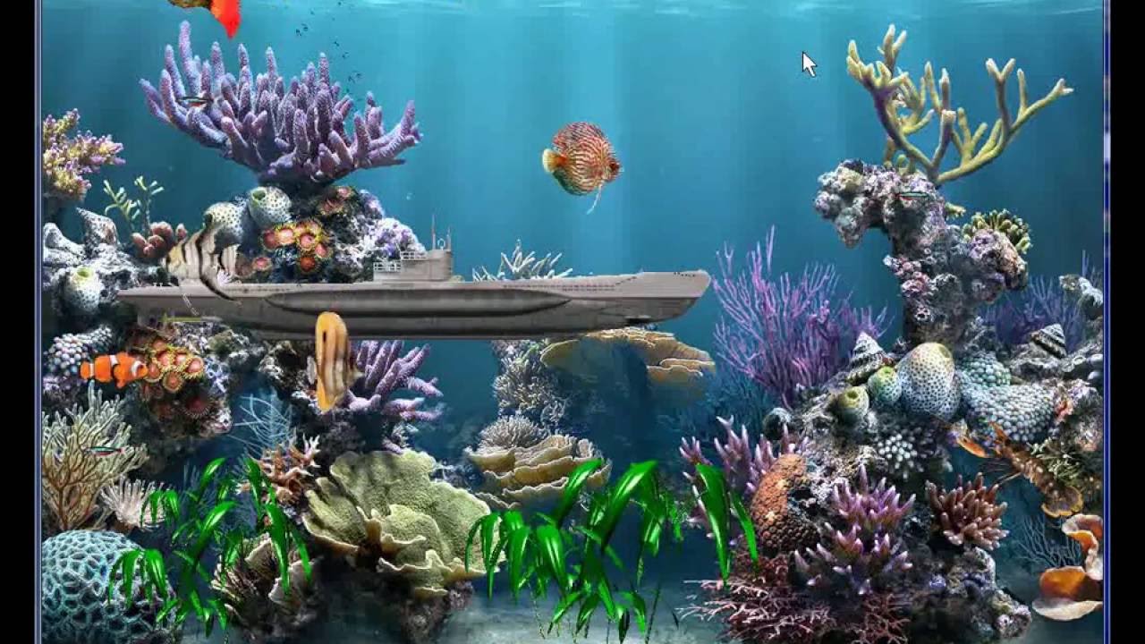 picture-relating-to-printable-fish-tank-background-under-the-sea