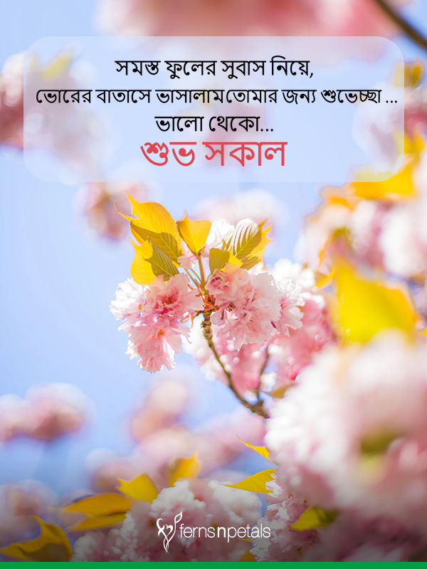 Good Morning Image In Bengali - 600x800 Wallpaper - teahub.io