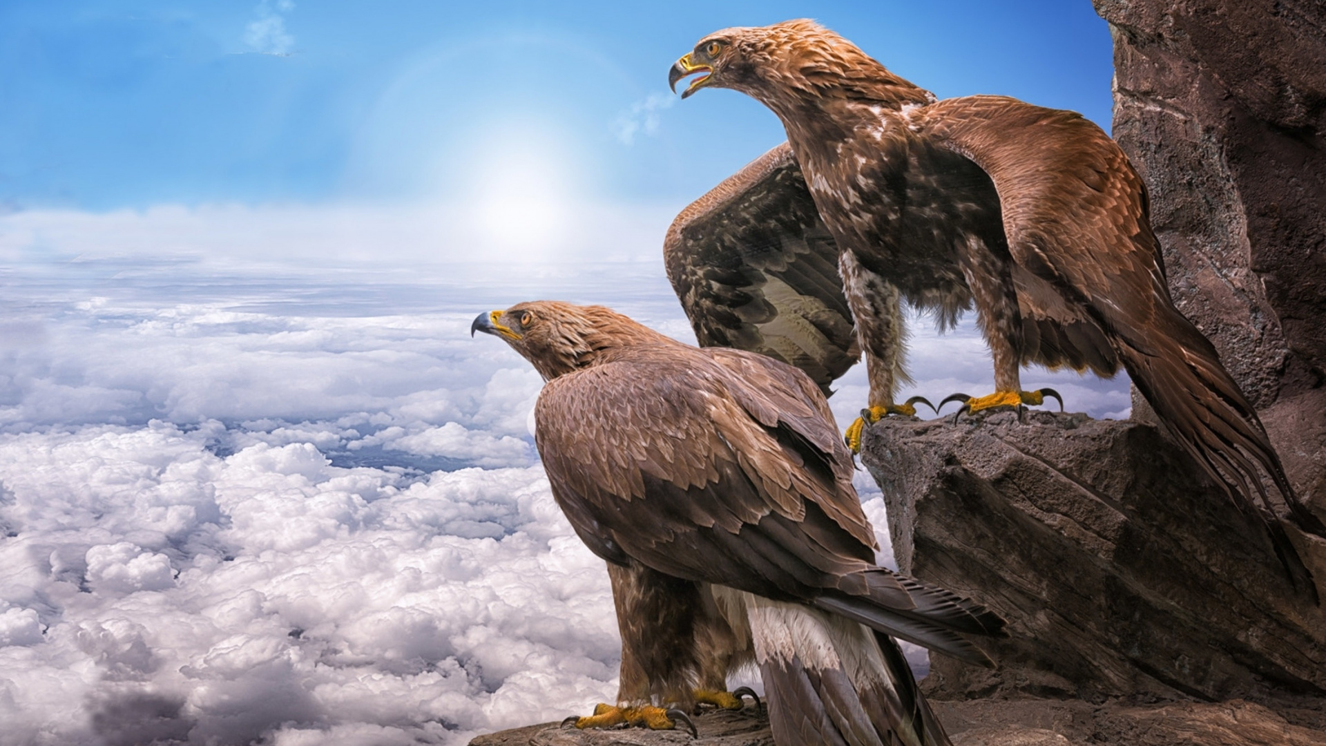 Golden Eagles, Birds, Clouds, Wallpaper - HD Wallpaper 