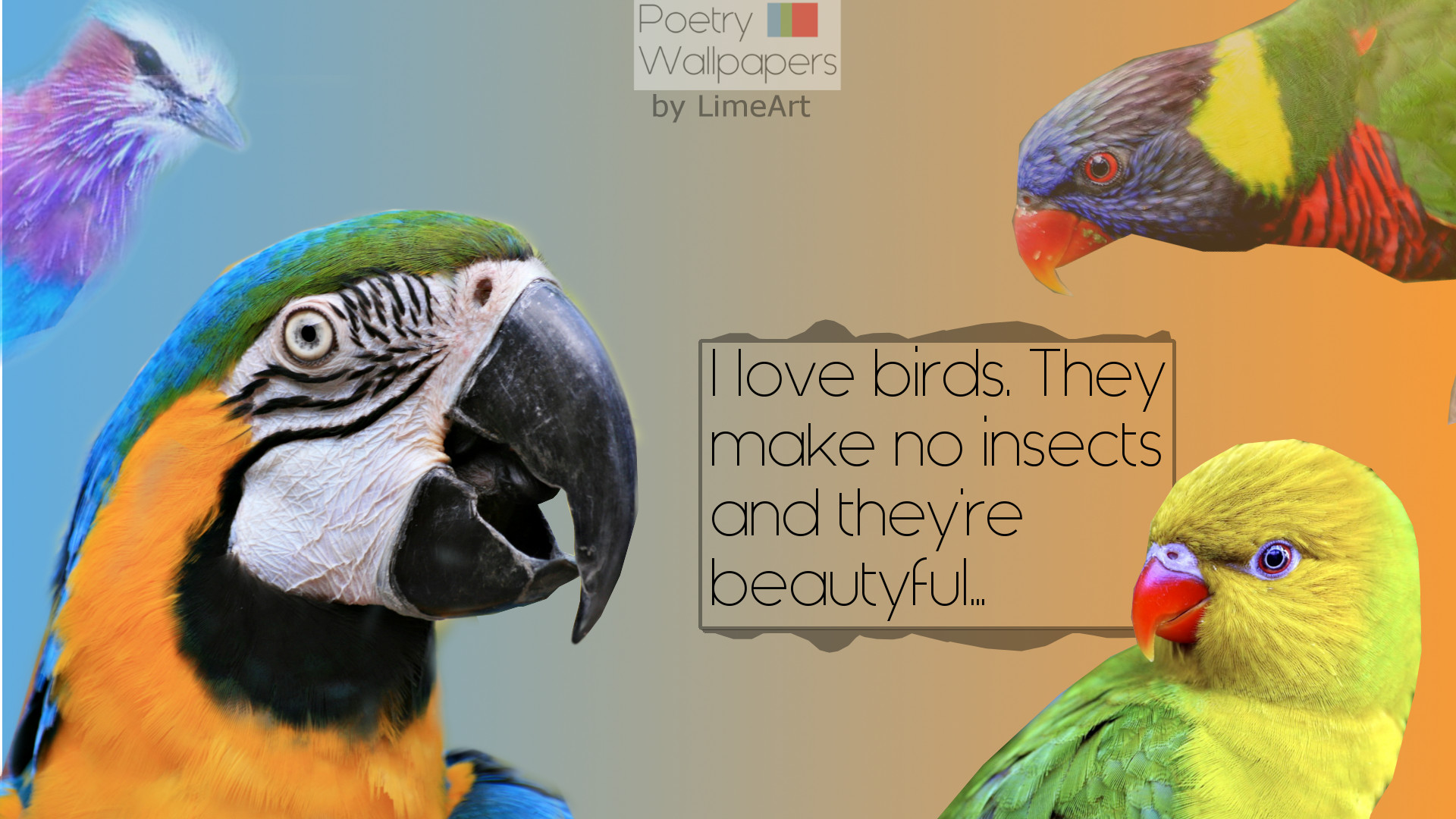 I Love Birds Wallpaper By Limeart11 I Love Birds Wallpaper - Birds ...