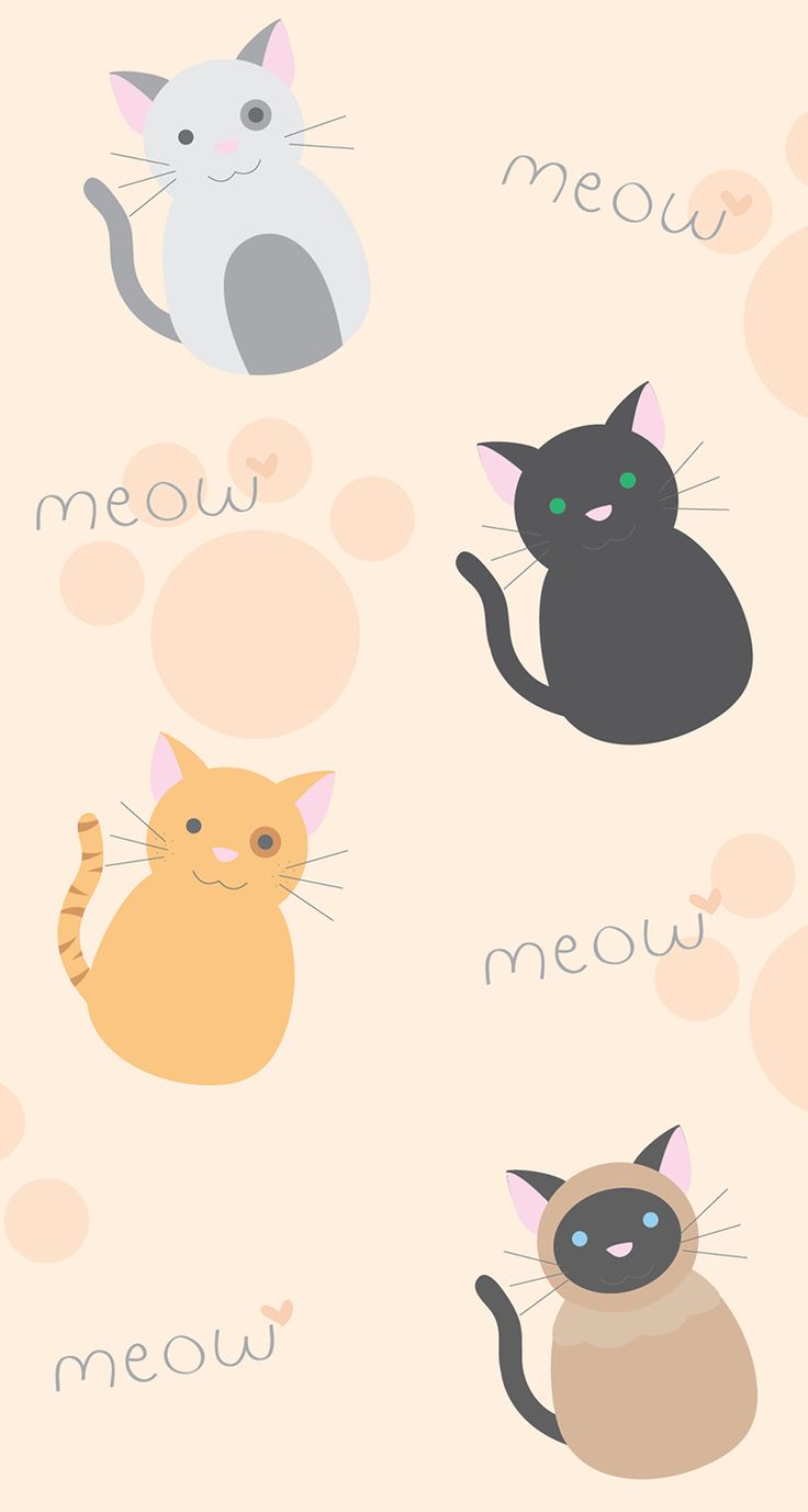 Kawaii Cat Wallpaper Hd For Chat Room 736x1377 Wallpaper Teahub Io