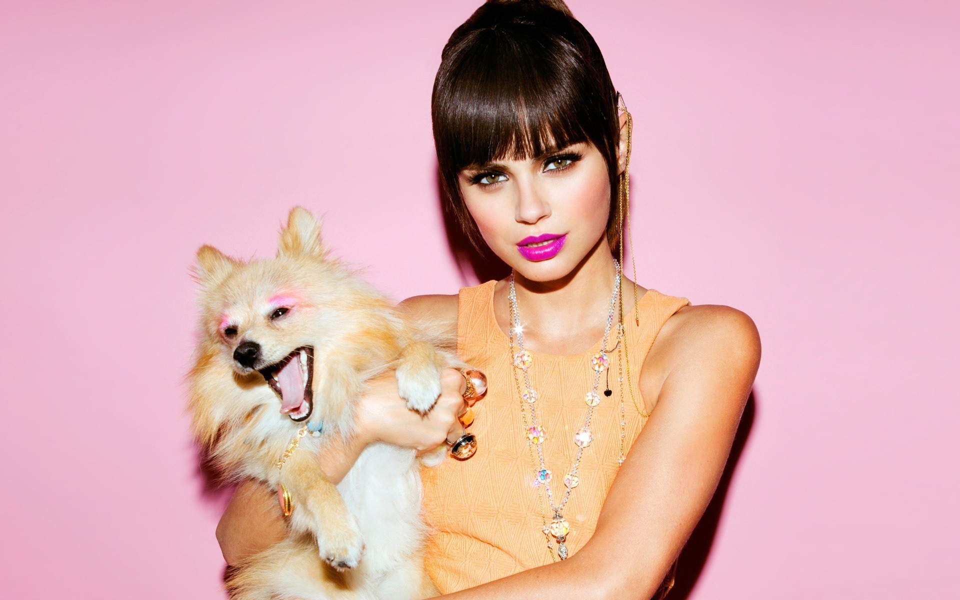 Woman And Dog Pink Background - HD Wallpaper 