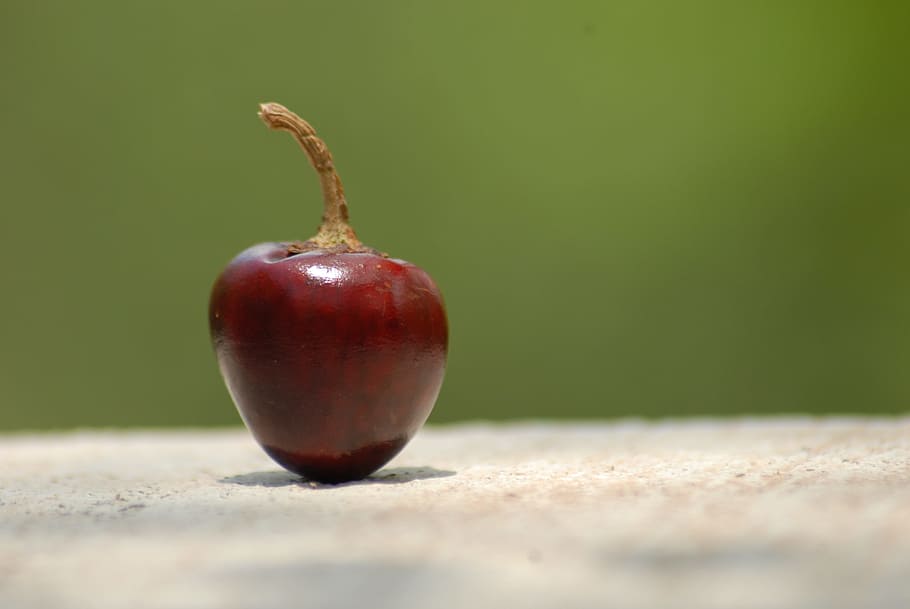 Seedless Fruit - 910x609 Wallpaper - teahub.io