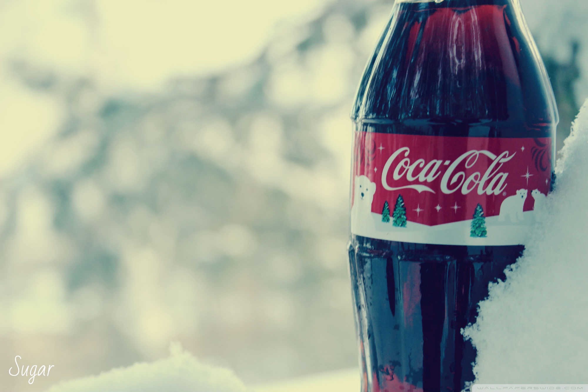 Coca Cola During Winter - HD Wallpaper 
