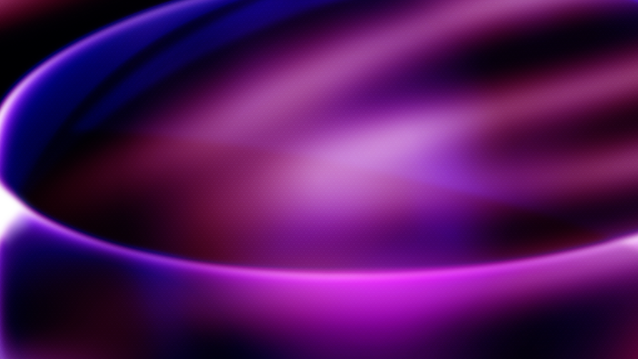 Purple Abstract Background - Purple Abstract Background Hd - 2560x1440  Wallpaper 