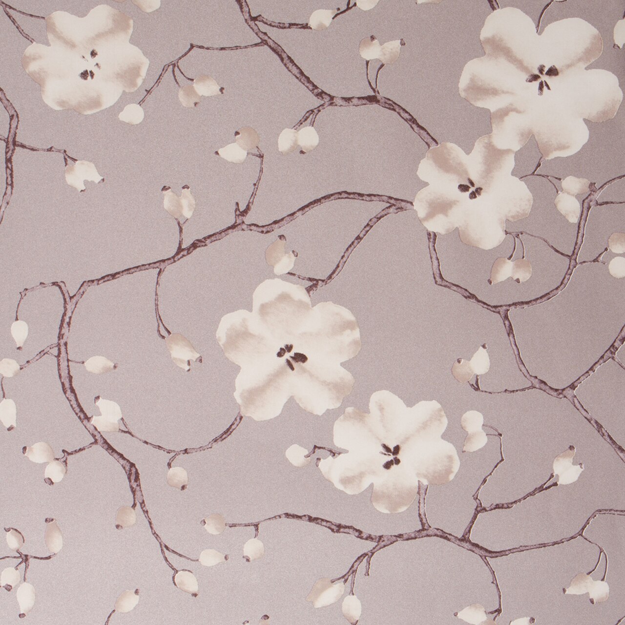 Cherry Blossom - 1280x1280 Wallpaper - teahub.io