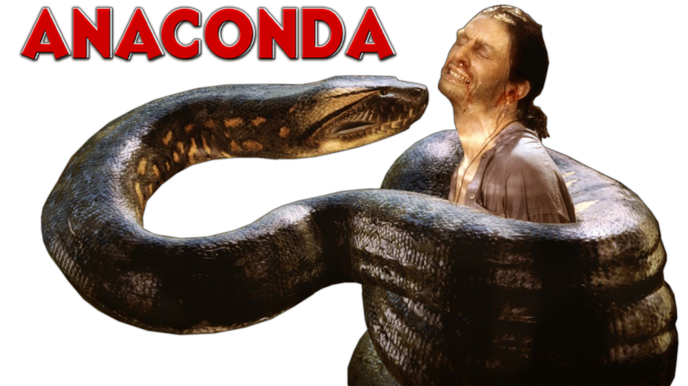 Png Anaconda - HD Wallpaper 