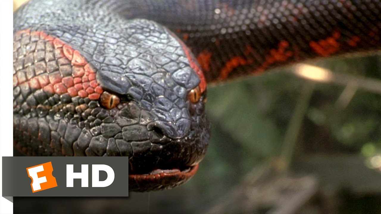 Anaconda Movie - HD Wallpaper 