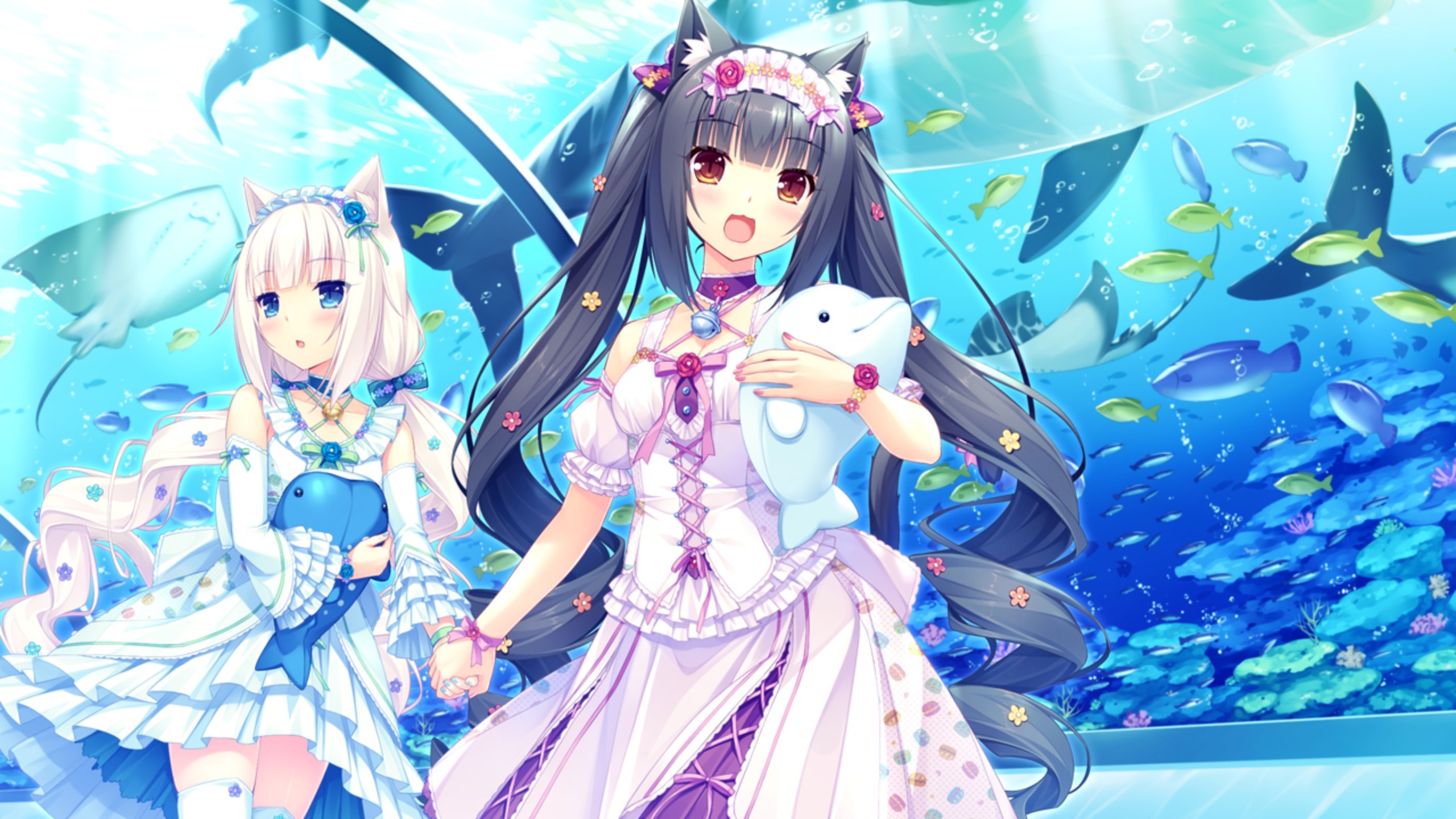 Ảnh Nekopara - 2560x1440 Wallpaper - teahub.io