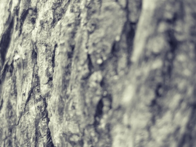 Background Wood 
fotografer - Monochrome - HD Wallpaper 