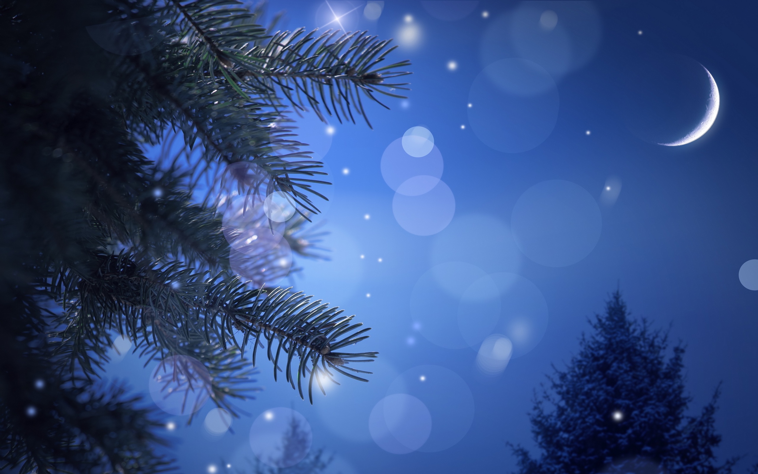 Christmas Night Wallpaper