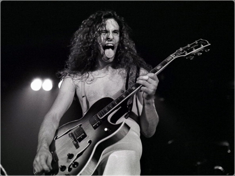 Ted Nugent ☆ - 70's Young Ted Nugent - 800x600 Wallpaper - teahub.io