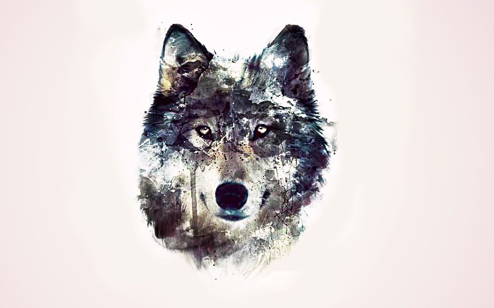 Artistic Wolf - 1680x1050 Wallpaper - teahub.io