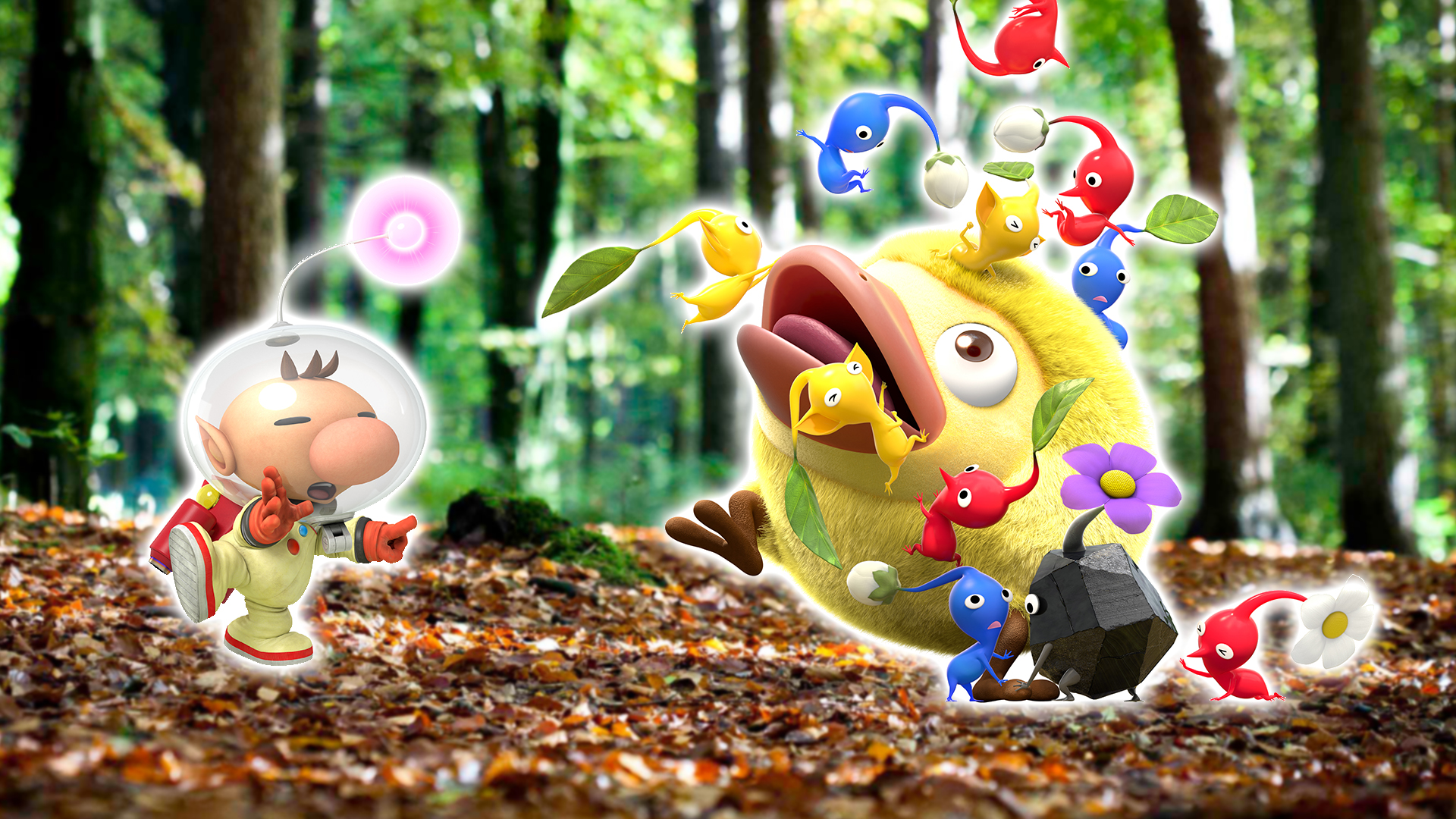 pikmin hey 1920x1080 wallpaper teahub io teahub io