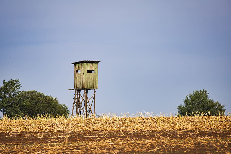 Jägertstand, Field, Glean, Agriculture, Yellow, Nature, - Wood - HD Wallpaper 