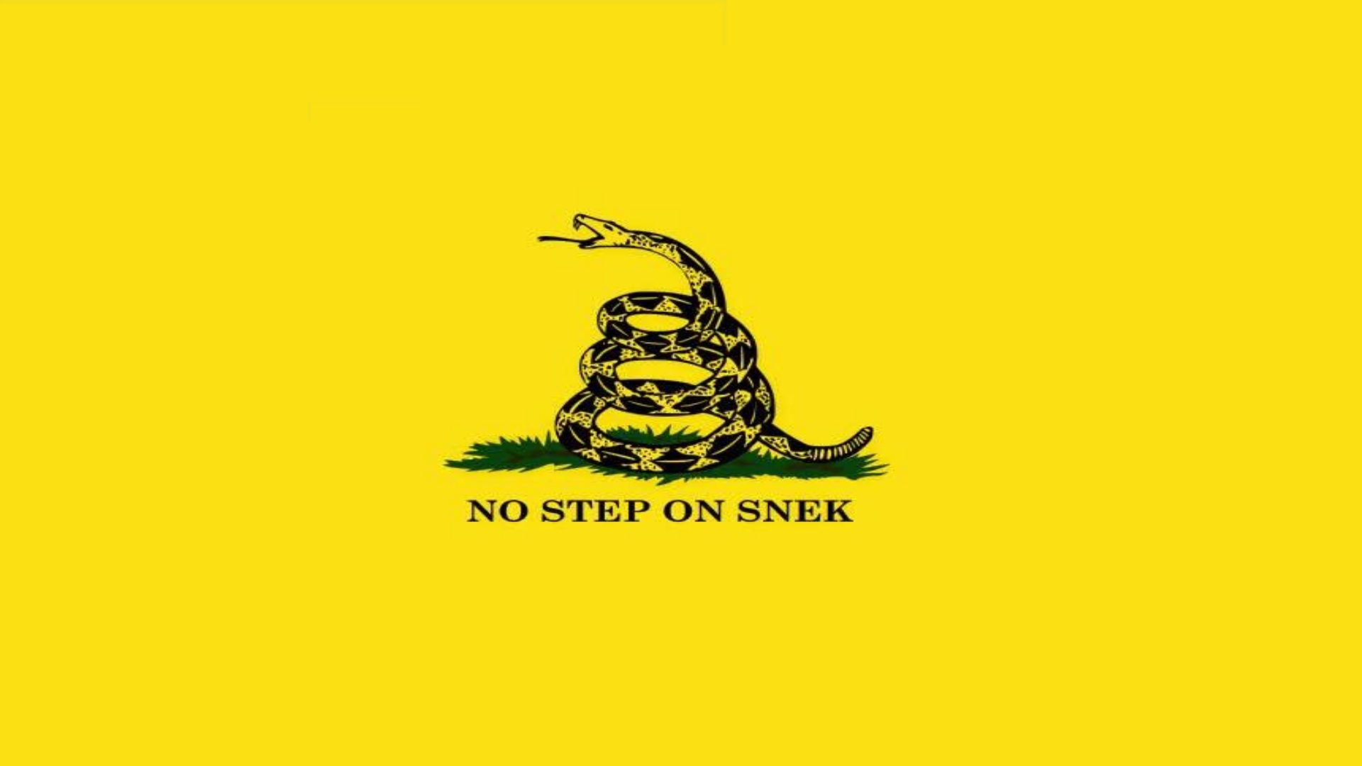 No Step On Snek Background - 1920x1080 Wallpaper 