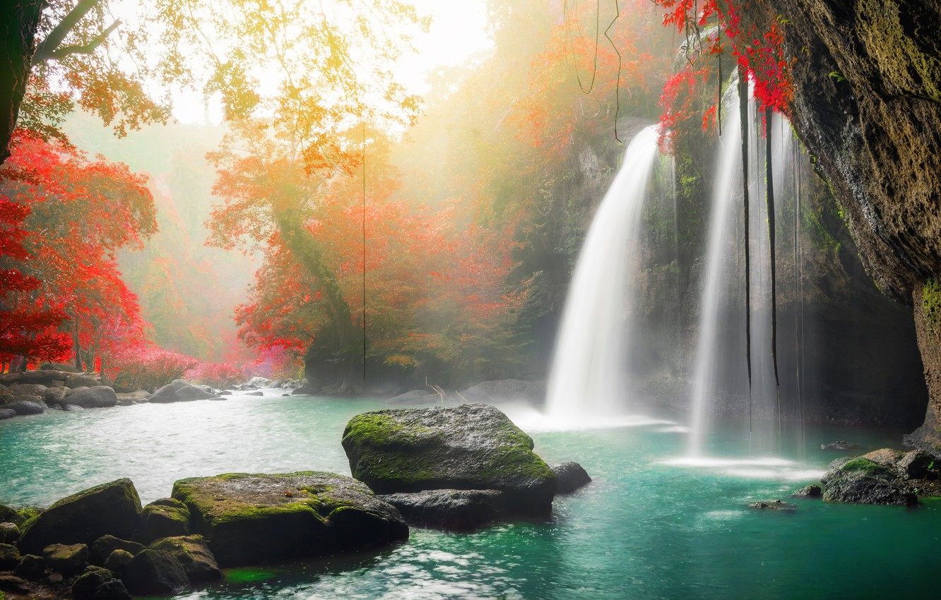 Photo Wallpaper Autumn, Forest, Water, Trees, Nature, - Nature Waterfall Beautiful River - HD Wallpaper 