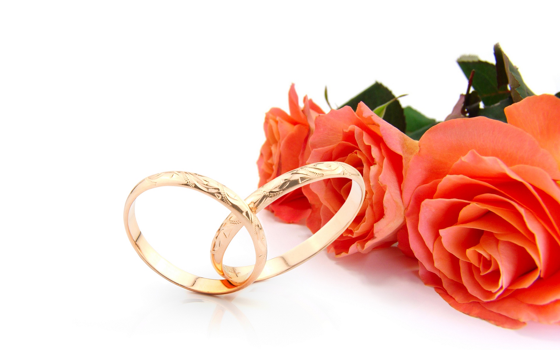 Wedding Ring And Rose Flowers Wallpapers And Backgrounds - Свадебный