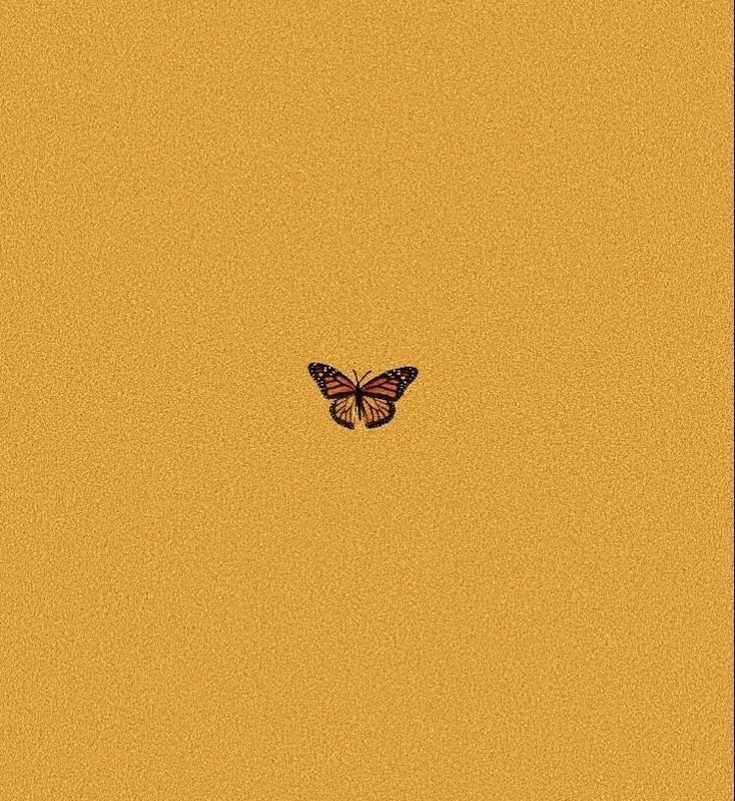 Yellow Butterfly Background Aesthetic - 735x801 Wallpaper 