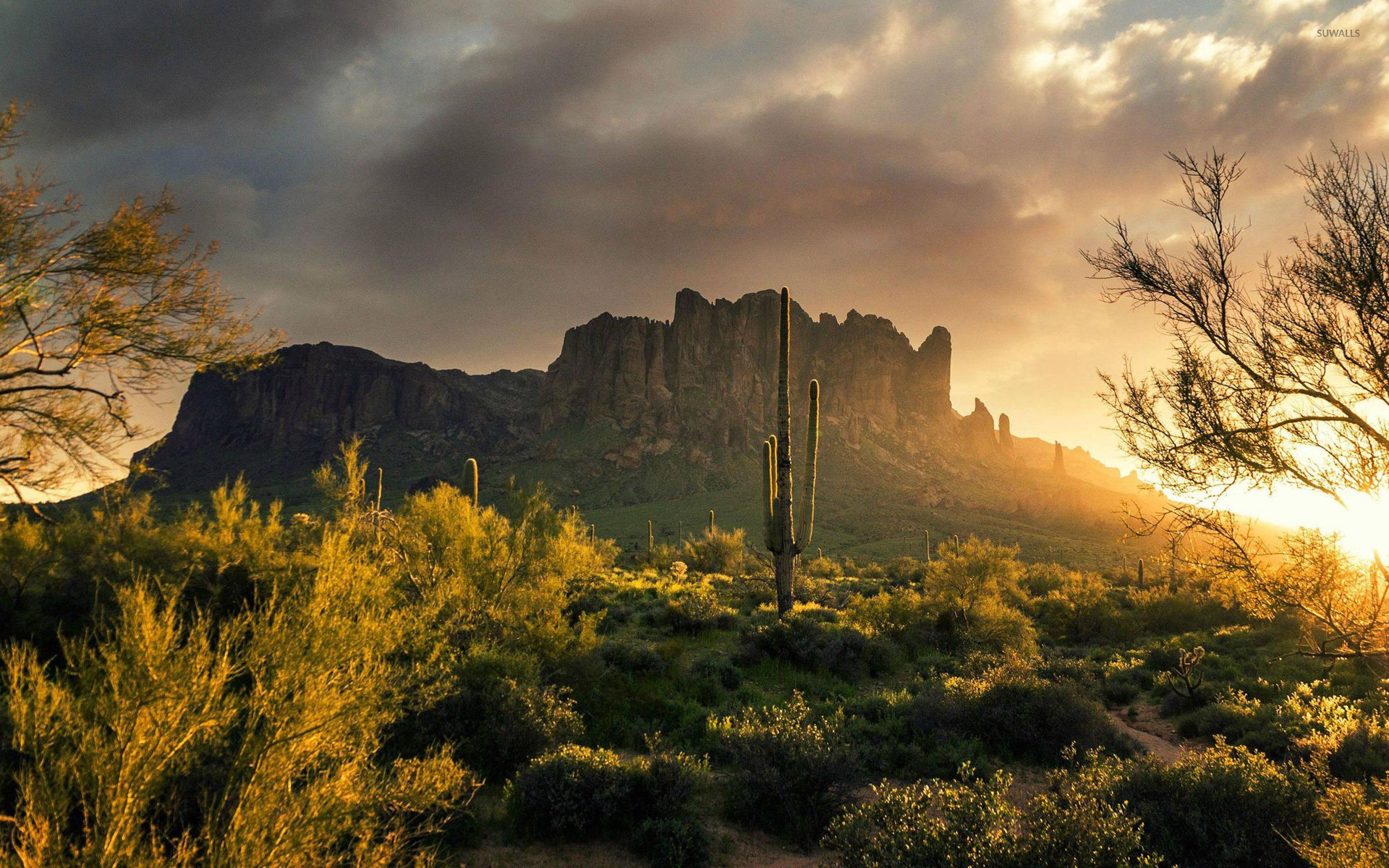 Superstition Mountains, Arizona Wallpaper Nature - HD Wallpaper 