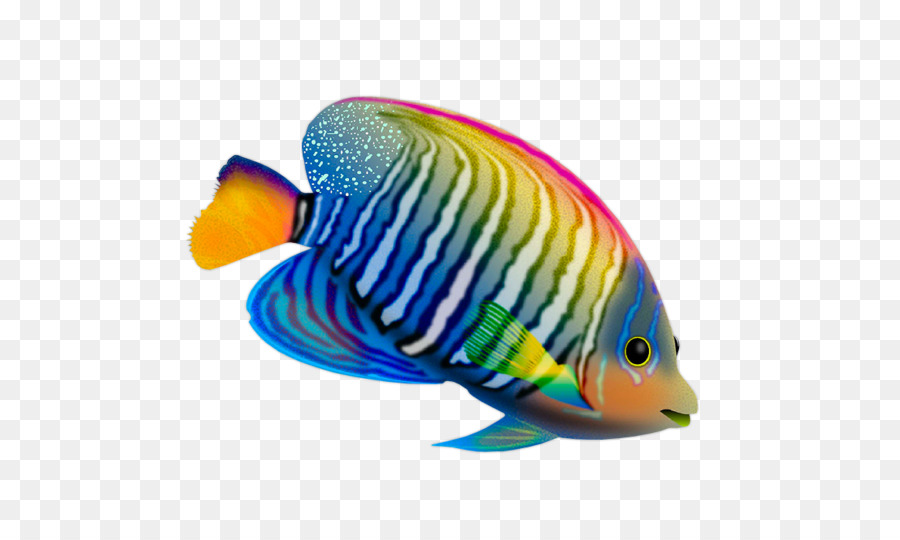 Desktop Wallpaper, Ikan, Ikan Hidup Gambar Png - See Fish Color Png - HD Wallpaper 