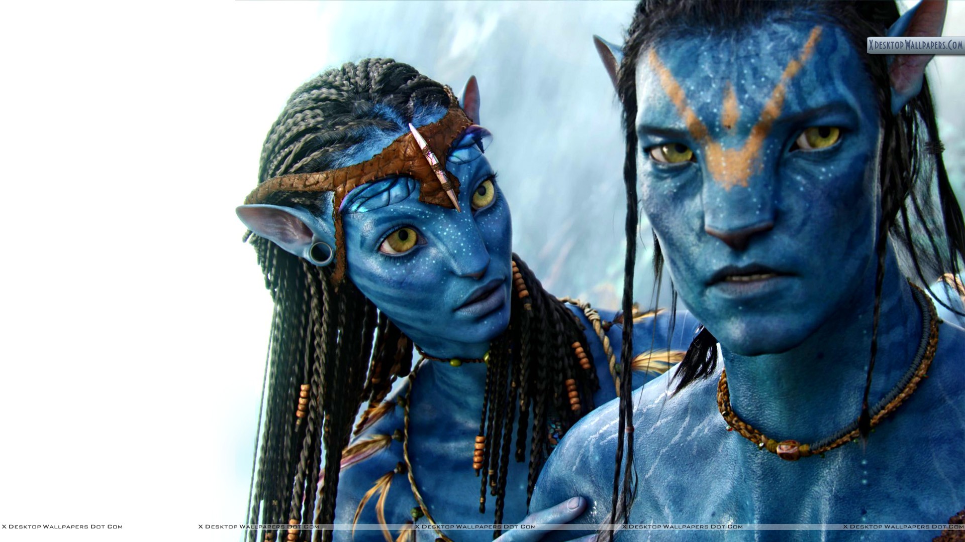 Avatar Movie 1920x1080 Wallpaper Teahub Io