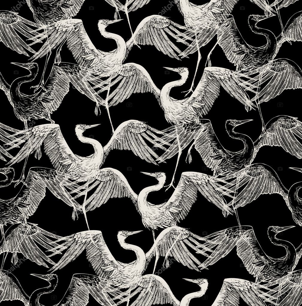 Birds Of Mind Ankara - 1009x1024 Wallpaper - teahub.io