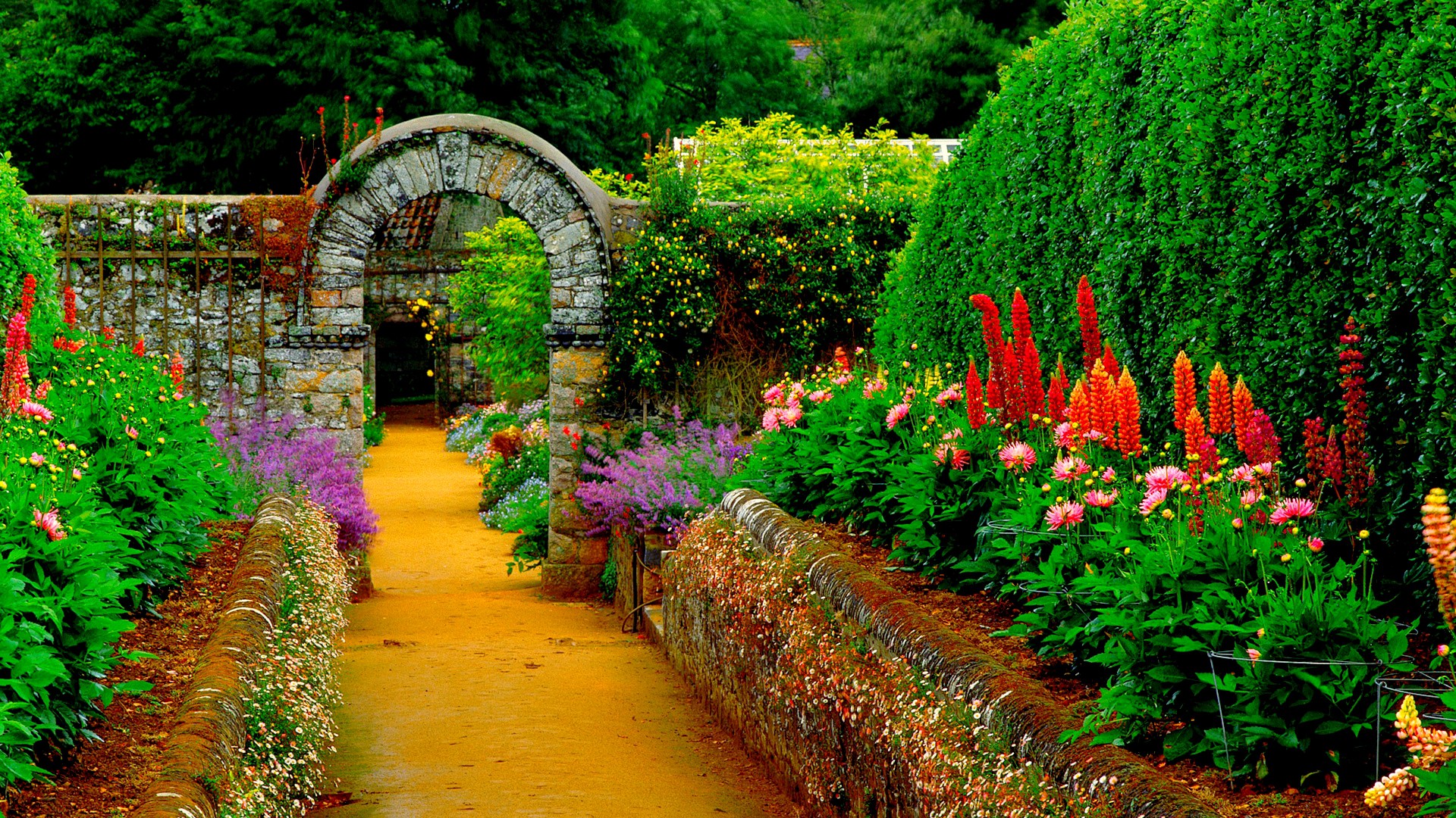 Odd Wallpapers Group - Garden Background Hd - HD Wallpaper 