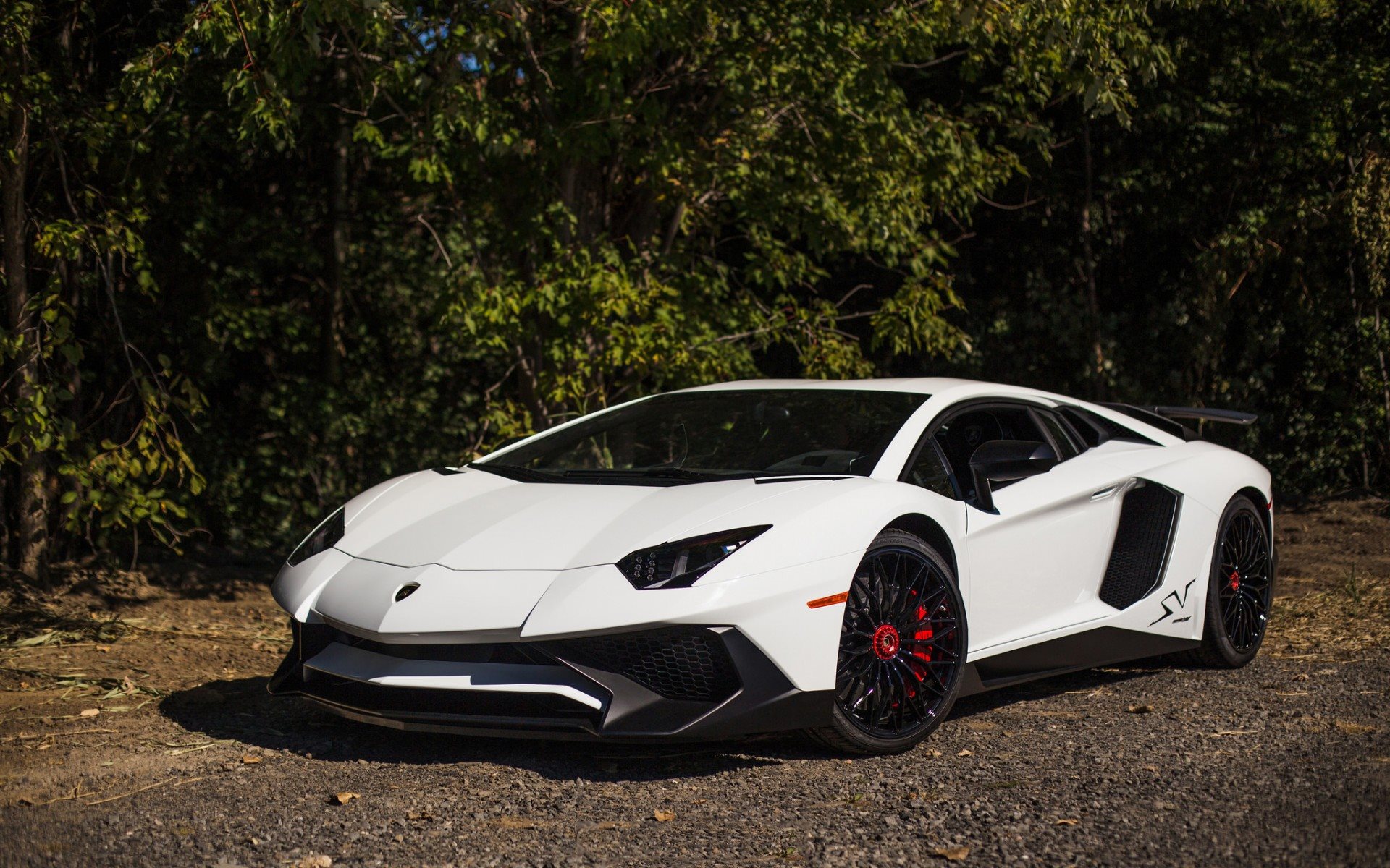 White Lamborghini Aventador Sv - 1920x1200 Wallpaper - teahub.io